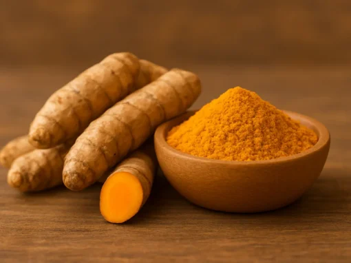 Cúrcuma: A Planta Milagrosa que Alivia Dores e Melhora a Qualidade de Vida Cúrcuma: A Planta Milagrosa que Alivia Dores e Melhora a Qualidade de Vida